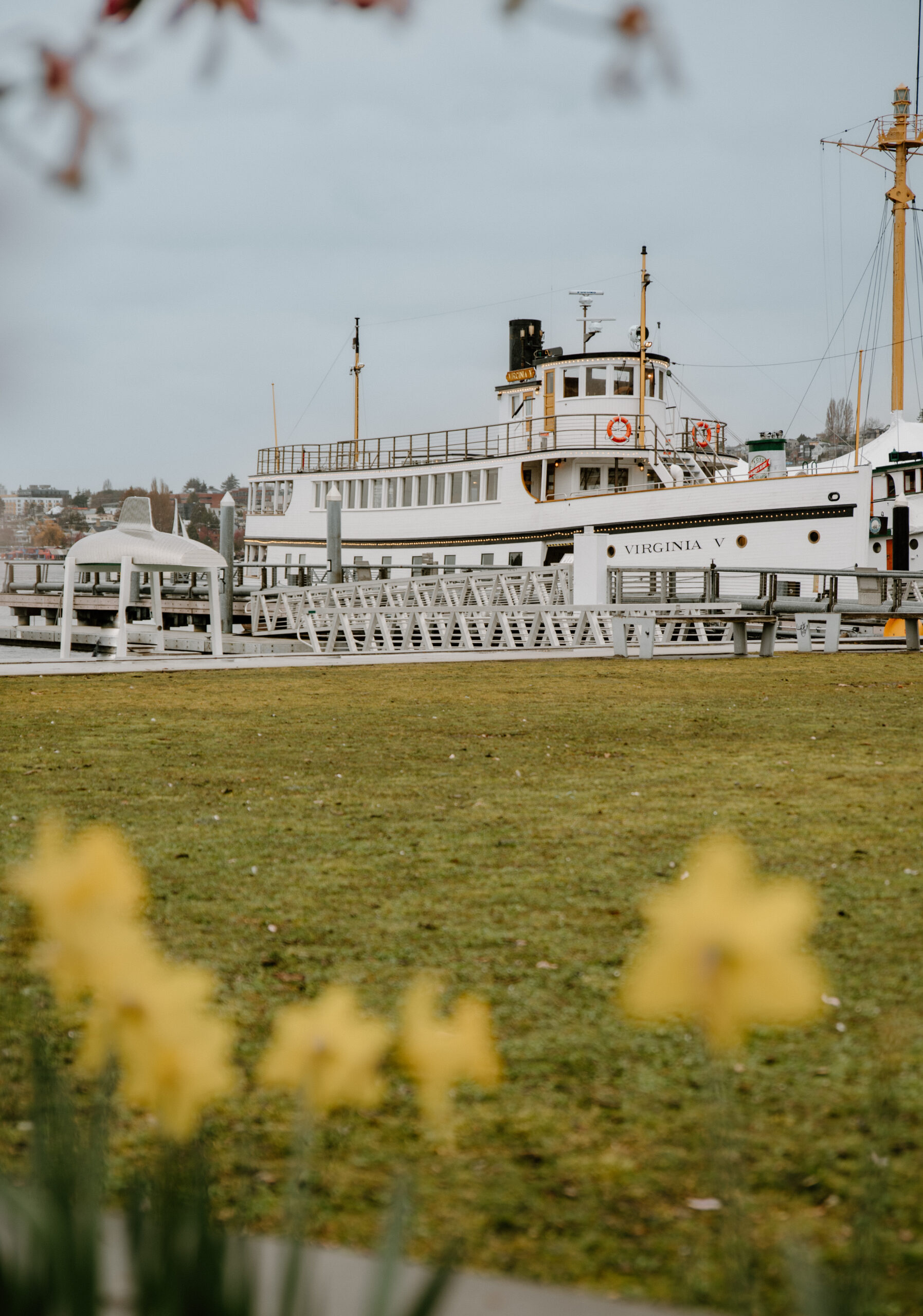 Landscape of blooming yellow flowers leading to the Virginia V steamboat, setting the scene for a romantic Virginia boat wedding.
